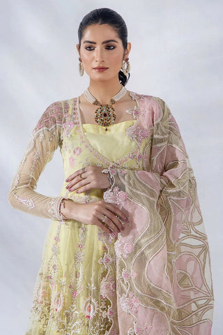08 Diara Afreen Exclusive Embroidered Chiffon Collection