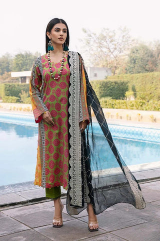 PEC 02 Sheen Printed Lawn Collection Vol 1