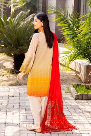 AN 20 Aniiq Embroidered Lawn Spring Summer Collection Vol 2