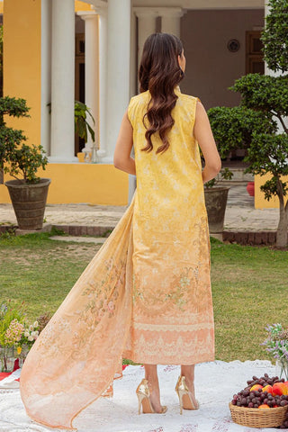 ZQ 1A Tresor Spring Summer Lawn Collection