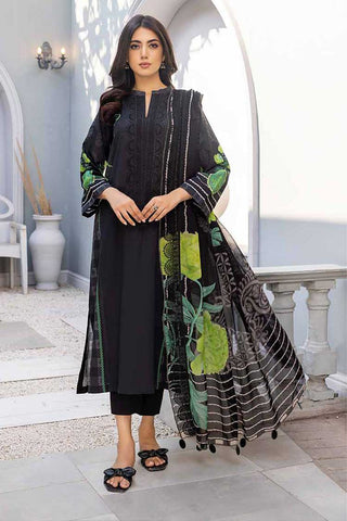 AN 25 Aniiq Embroidered Lawn Collection Vol 3