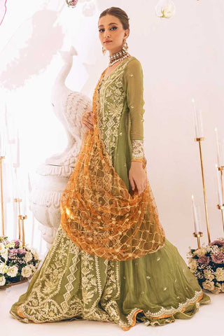 Design 05 Sawariya Luxury Kalidaar Chiffon Collection