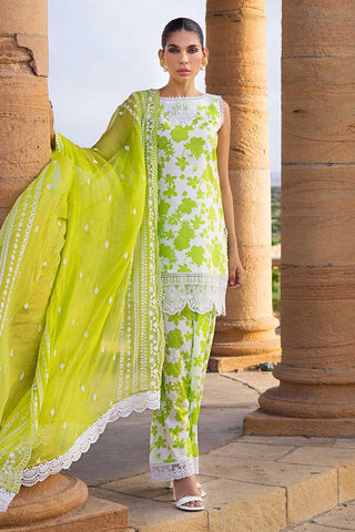 Champa 8A Luxury Lawn Collection