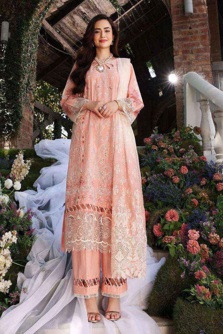 Picture of Elaf - ECF 06 Cindrella Festive Chikankari Collection Vol 2 - Available at Raja Sahib