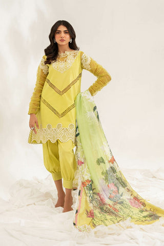 Seren (LL 09) Leia Embroidered Lawn Collection