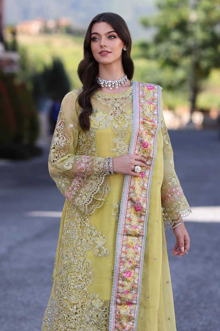 Picture of Noor by Saadia Asad - D4 Minali Noor Chiffon Handwork Schiffli And Laserkari Collection - Available at Raja Sahib