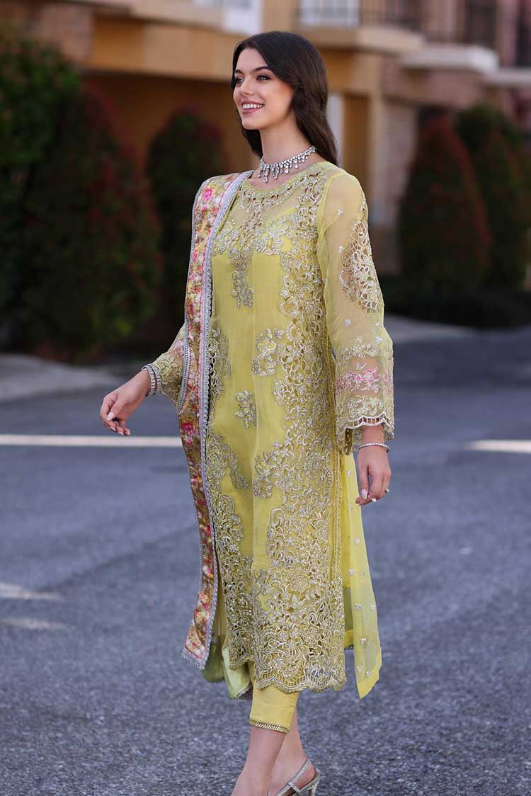 Picture of Noor by Saadia Asad - D4 Minali Noor Chiffon Handwork Schiffli And Laserkari Collection - Available at Raja Sahib