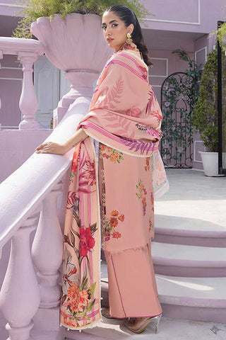 Zimal (GBW-05) Gulbagh Winter Collection