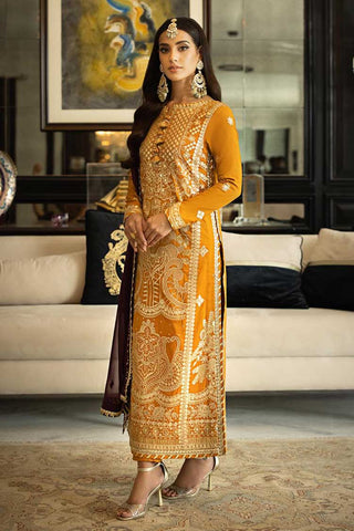 Picture of Asim Jofa - AJRN 09 Rang E Noor Collection - Available at Raja Sahib