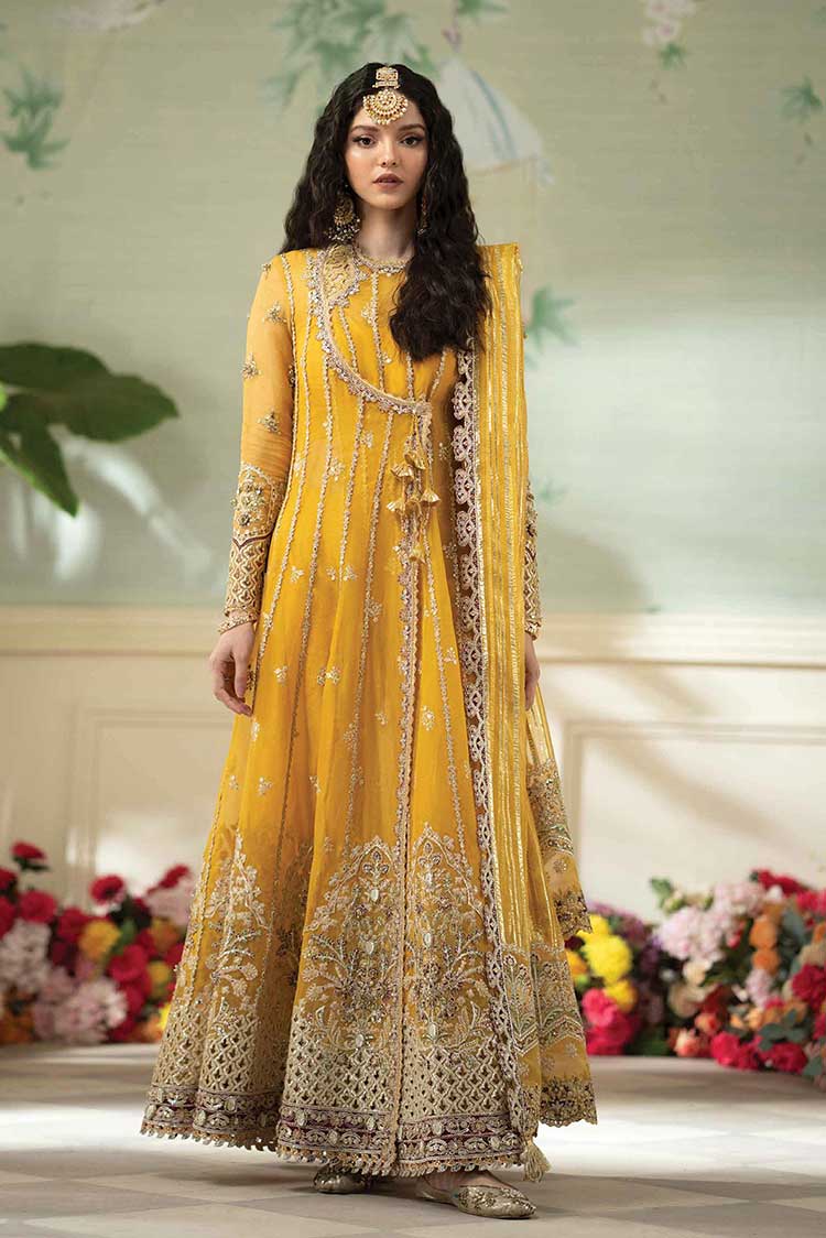 Dilnaaz Wedding Formals <!--2023-->