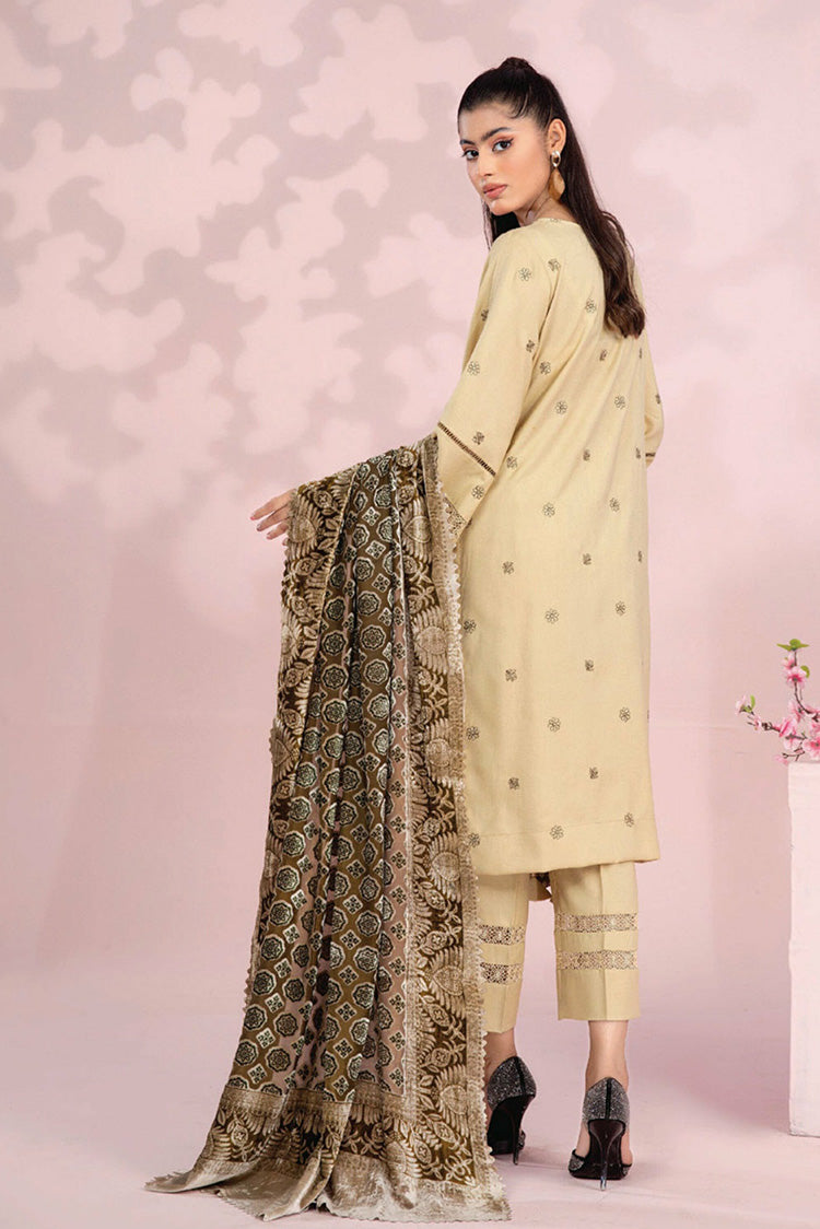 Picture of Lala - Design 02 Brocade Exclusive Embroidered Palachi Collection - Available at Raja Sahib