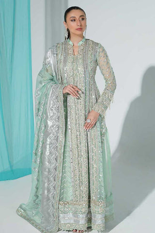 Formal Dress Aroosa (FFD-0098) Sang e Paras Premium Luxury Collection