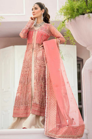 4114 Avley Riwayat Premium Embroidered Chiffon Collection