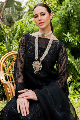 Raven (MW23 507) Sorina Luxury Chiffon Collection